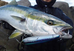 Yo-Zuri Mag Dive Floating Stickbaits -Angling Promotion Store 17 02