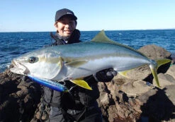 Yo-Zuri Mag Dive Floating Stickbaits -Angling Promotion Store 17 03