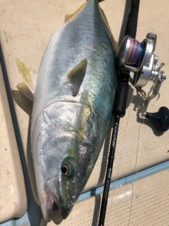 Yamaga Blanks Galahad Jigging Rods -Angling Promotion Store 52472956887 8497fb301a k