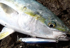 Yo-Zuri Hydro Monster Shot Casting Lures -Angling Promotion Store 8 05