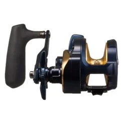 Daiwa Saltiga 35 Jigging Star Drag Reels -Angling Promotion Store Daiwa 25SALTIGA 35 Charkbait Jigging Star Drag front