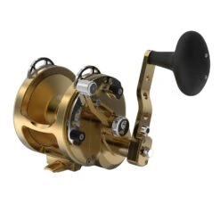 Avet HX 5/2 MC Two Speed Reels -Angling Promotion Store HX52 FRONT GOLD
