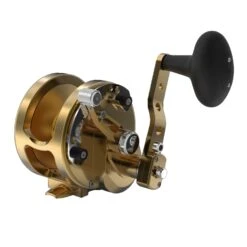 Avet HXJ Raptor 5/3 MC Three Speed Reels -Angling Promotion Store HXJ52 FRONT GOLD f1da4bc6 097b 441e 8561 867ded8fd04f