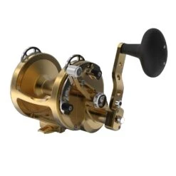 Avet HXW 5/2 Two Speed Reels -Angling Promotion Store HXW52 FRONT GOLD