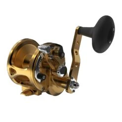 Avet JX G2 6.0 MC Single Speed Reels -Angling Promotion Store JX4.6 G2 FRONT GOLD 2 e5d1351f ada9 4391 9ef2 b7baa069390a