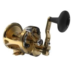 Avet LX G2 6/3 Two Speed Reels -Angling Promotion Store LX63 G2 FRONT GOLD ba920647 a2e8 46e6 bac9 9d9c445840a0