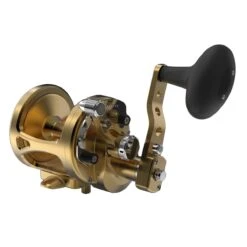 Avet MXL G2 6/4 Two Speed Reels -Angling Promotion Store MXL64 G2 FRONT GOLD 06181e7e 3878 4394 b8c0 35a02ccdf2bd 904499