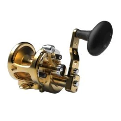 Avet SX G2 6/4 Two Speed Reels -Angling Promotion Store SX64 G2 FRONT GOLD 9075985b 7a9e 4290 8526 ad8c369fd7d8 176052