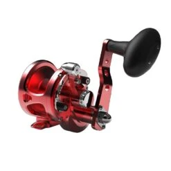 Avet SXJ G2 5.3 Single Speed Reels -Angling Promotion Store SXJ5.3 G2 FRONT RED 2 fae6ff9d aeca 44c7 83d3 aa976a060362 554965