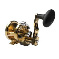 Avet SXJ G2 6/4 MC Two Speed Reels 12 Avet SXJ G2 6/4 MC Two Speed Reels -Angling Promotion Store SXJ64 G2 FRONT GOLD 420467