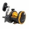 Daiwa Seagate Star Drag Reels -Angling Promotion Store daiwa seagate charkbat