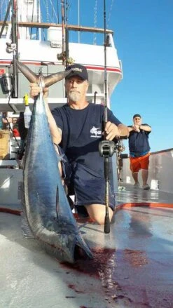 Okuma Komodo SS Baitcasting Reels 7 Okuma Komodo SS Baitcasting Reels -Angling Promotion Store sonny 1 UCSwimbait Komodo 1 jpg 818459